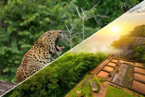 7 Day Wild Life Tour